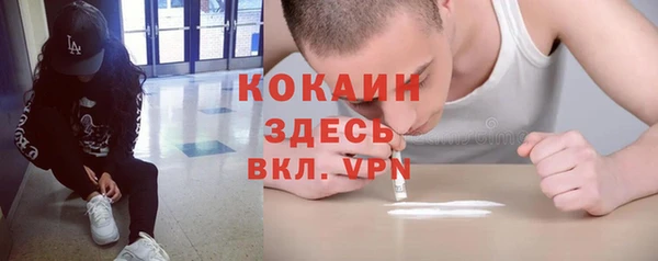 прущие грибы Абаза