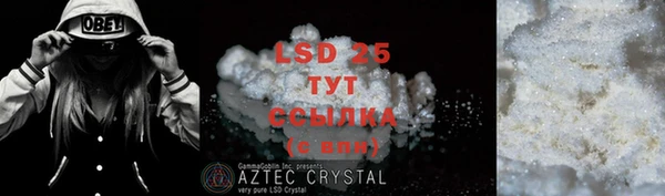 прущие грибы Абдулино