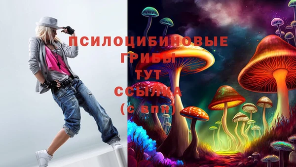 прущие грибы Абдулино