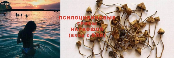 дурь Абинск