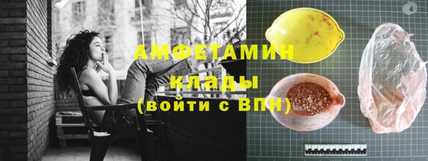 прущие грибы Абаза