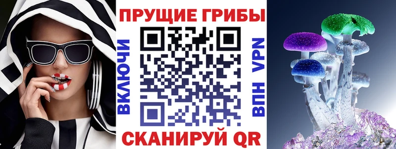 Галлюциногенные грибы Psilocybine cubensis как найти МЕГА вход Адыгейск